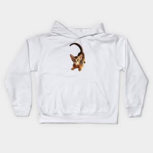 Abyssinian Cat Kids Hoodie